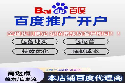 百度竞价排名服务：成功案例解析与优化策略